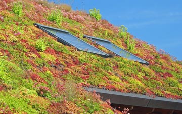 Wilcott Marsh living roof systems